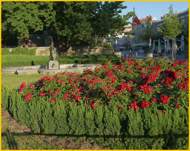 Taamsaare Park